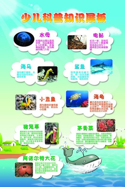 这些推普知识你get了没？